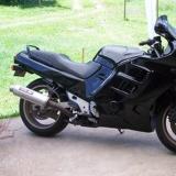 Celle de bananorhum alt=