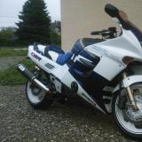 Celle de cbrator alt=