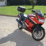 Celle d'achille alt=