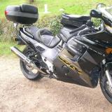 Celle d'olive  Celle d'olive