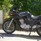 Celle de dame isa alt=