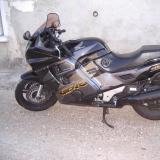 Celle de damzooz alt=