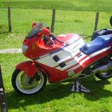 Celle de david-56 alt=