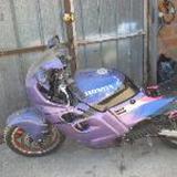 Celle de drisse17 alt=