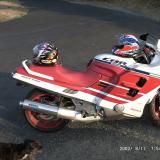 Celle de elcoyote66 alt=