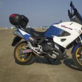 Celle de feu-blanc alt=