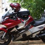 Celle de guilal alt=