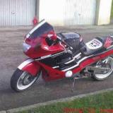 Celle de guymes alt=