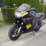 Celle de jibian alt=