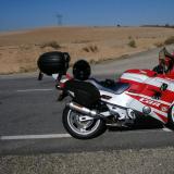 Celle de julius alt=