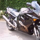 Celle de le flamand ose alt=