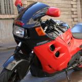 Celle de maximus alt=