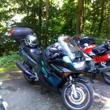 Celle de POLO RIDER alt=