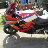 Celle de thierysp alt=