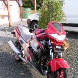 Celle de YAYA du 49 alt=